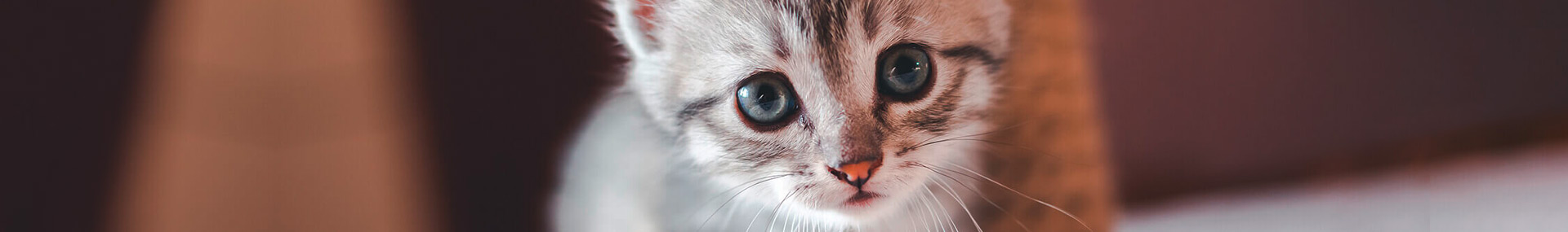 care